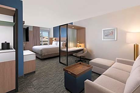 Studio with King Bed and Sofa Bed - Hearing Accessible