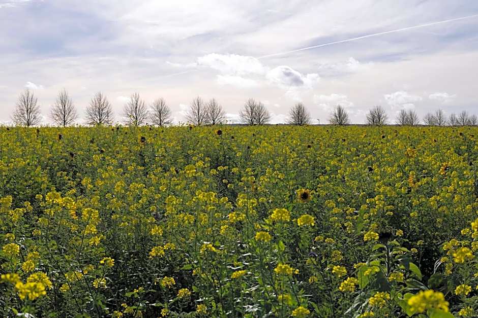 Domaine des Terres du Val
