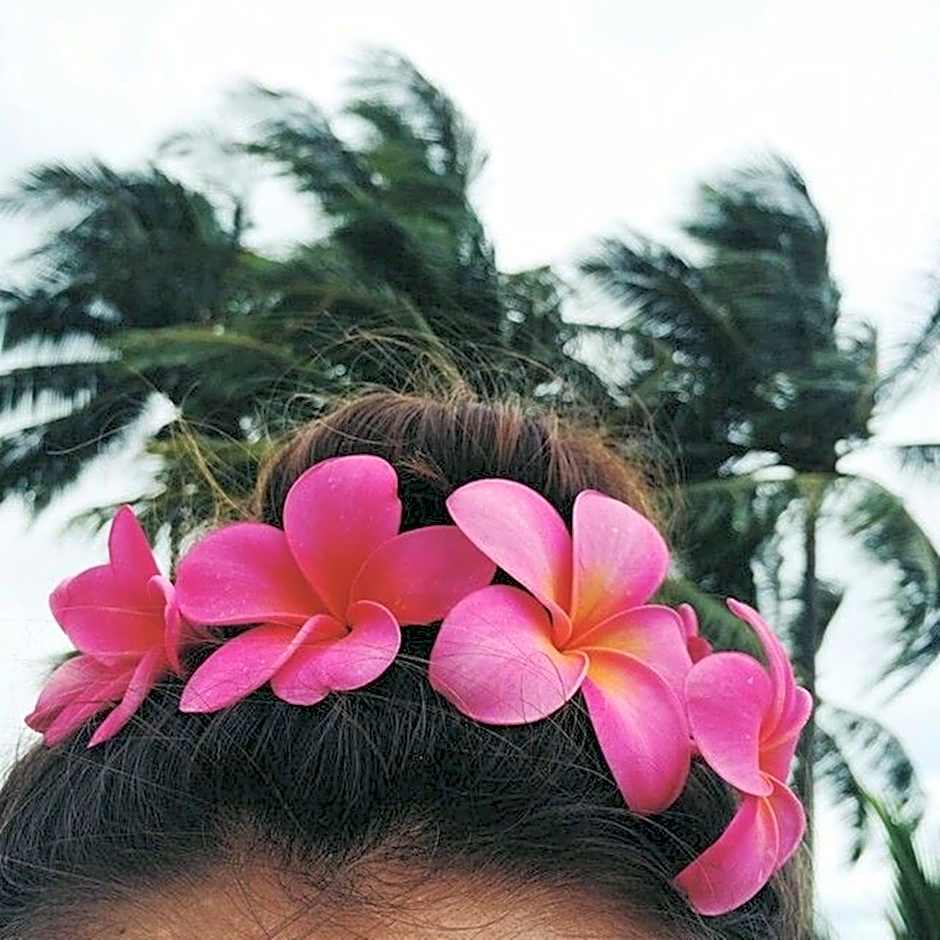 Palmyra Indah Bungalows