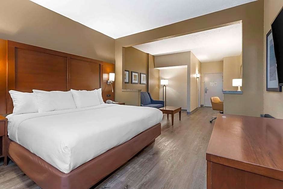 Comfort Suites At The University
