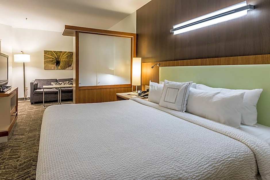 SpringHill Suites by Marriott Statesboro University Area