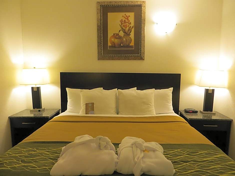 Photo 1 of 11 of 1 King Bed Suite, Jacuzzi®