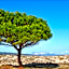 Appartamenti Le Magnolie