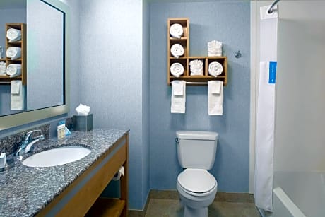 1 King Mobility Access Ri Shwr Suite Nosmok