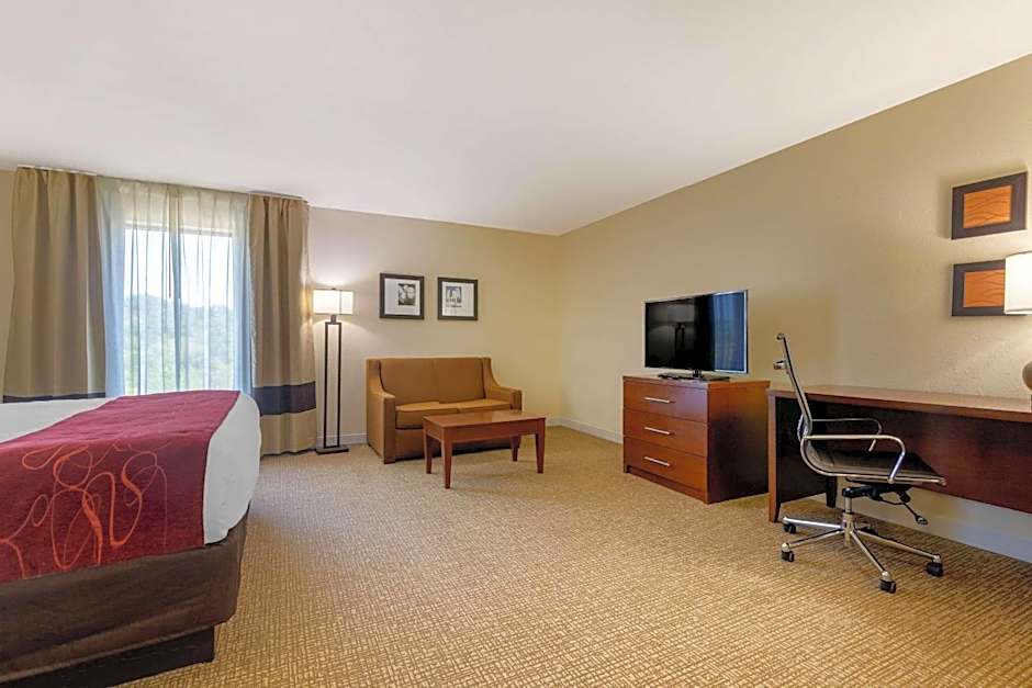 Comfort Inn & Suites Macon West