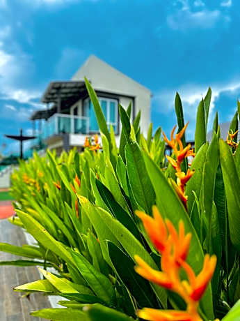 Tijami Villa & Resort