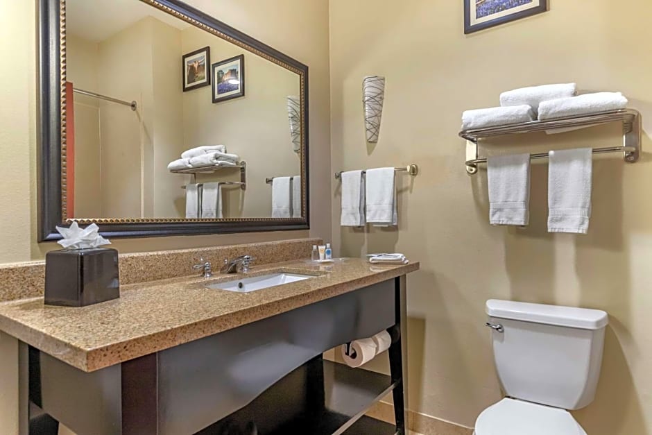 Comfort Suites Buda - Austin South