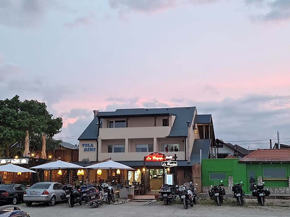 Vila Dini(La Rogojini)