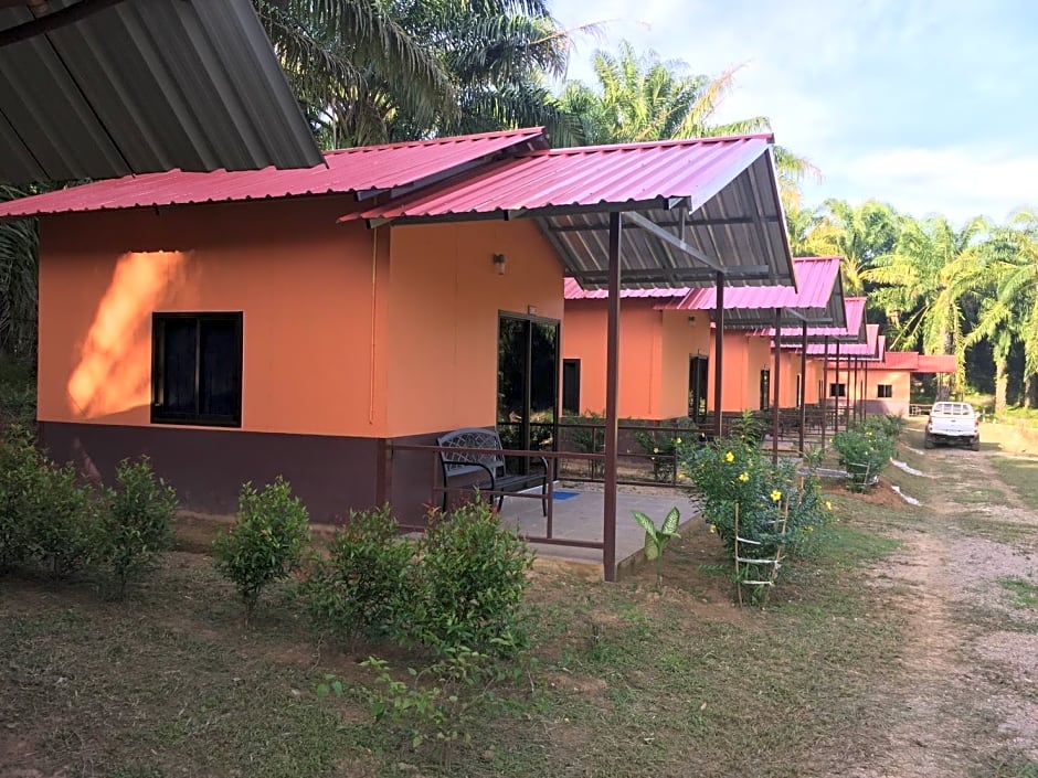 Khao Sok Evergreen House