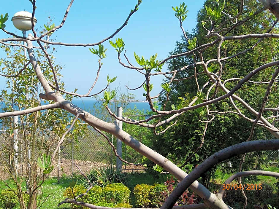 Villas and Bungalows Panorama