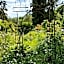 Le jardin de Saint Jean