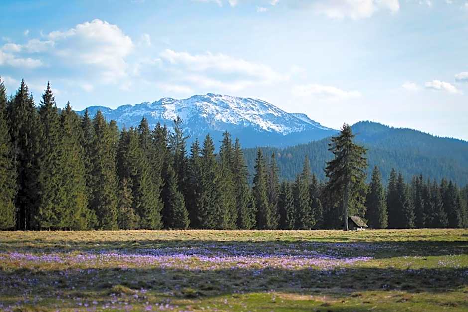 Leśniczówka u Zięby