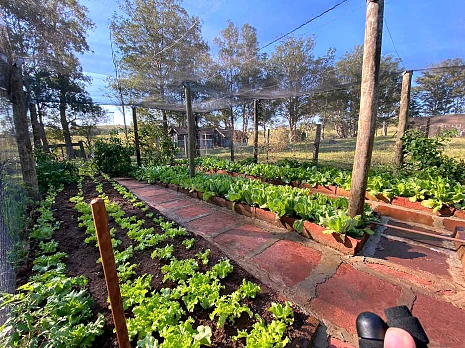 Pousada Fazenda Pinhalzinho