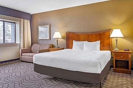 1 King Bed Mobility/Hearing Impaired Accessible Room Non-Smoking