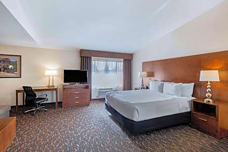 Executive King Room with Sofa Bed