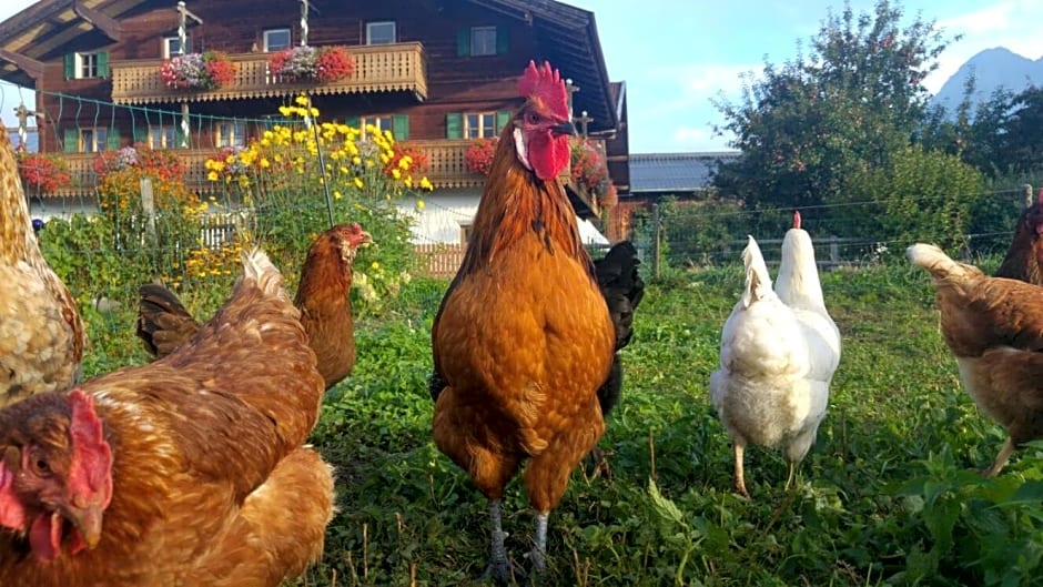 Biobauernhof Jagglhof