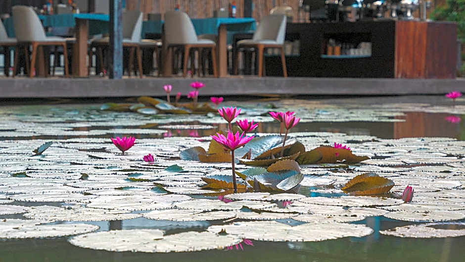 Villa Oasis Luang Prabang