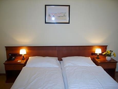 Double or Twin Room with Balcony and Wellness Access