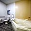 The Leo Collection Detroit, Ascend Hotel Collection