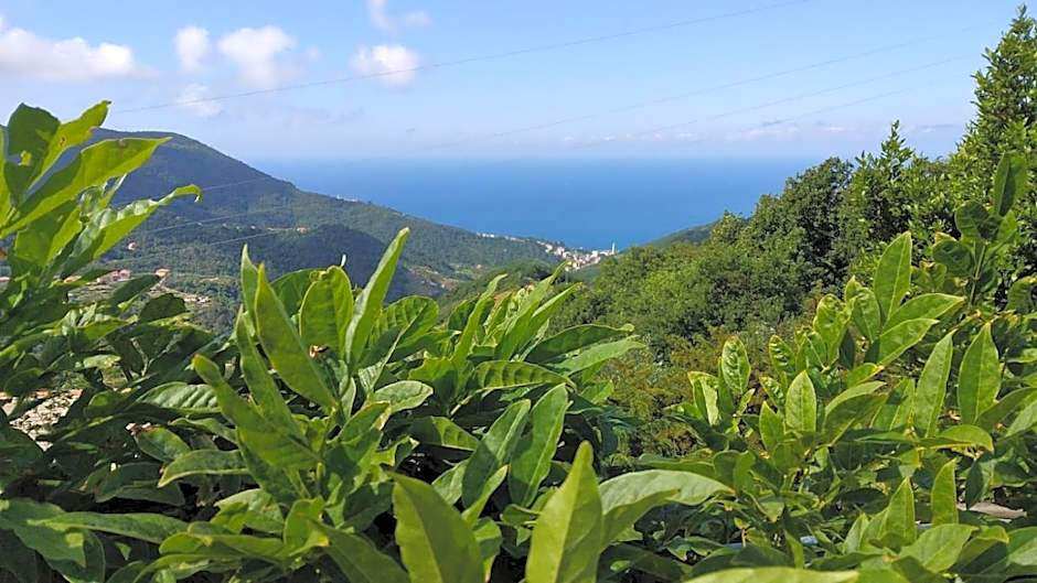 Bed&Breakfast Bella Vita