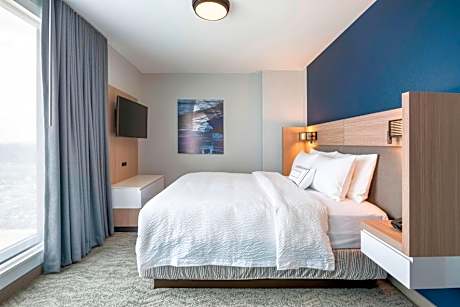 1 Bedroom Larger Suite, 1 King, Sofa bed