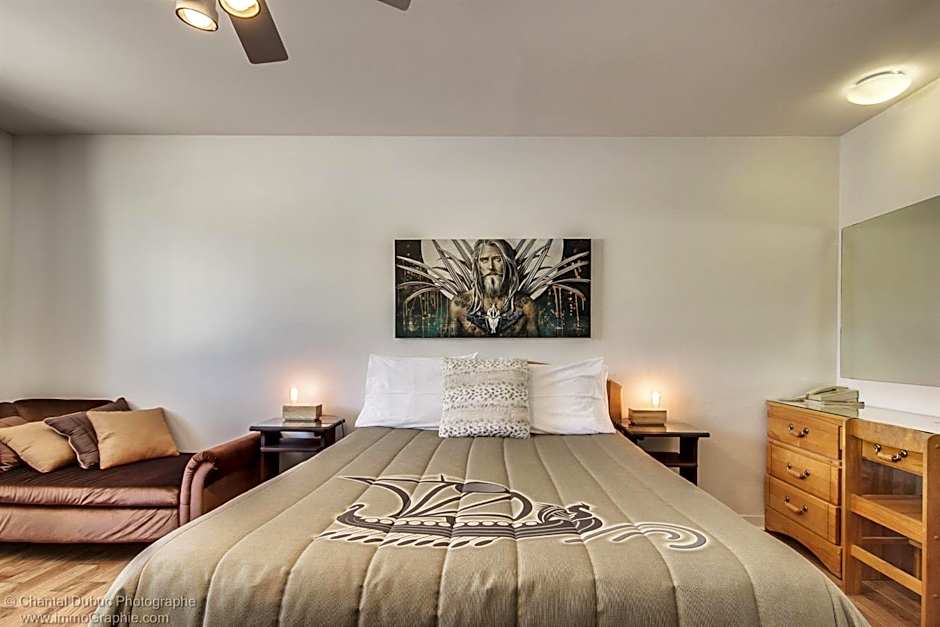 Auberge motel drakkar