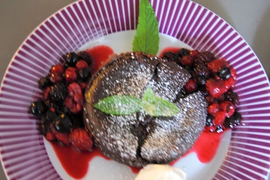 Manoir de la Pataudière B&B