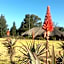 African Flair Country Lodge