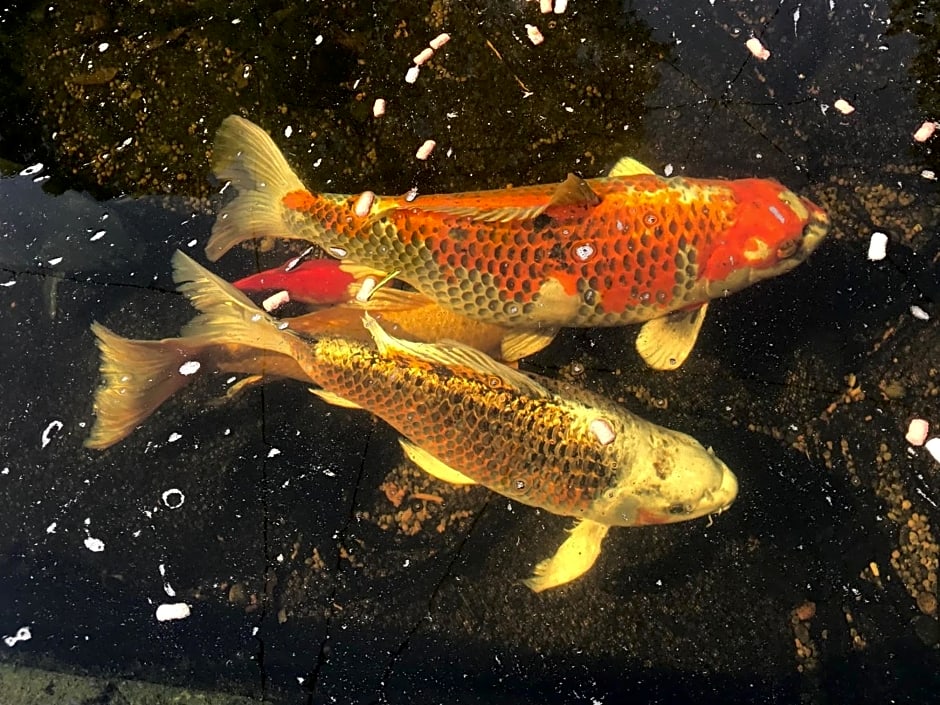 Chart House Bed and Breakfast