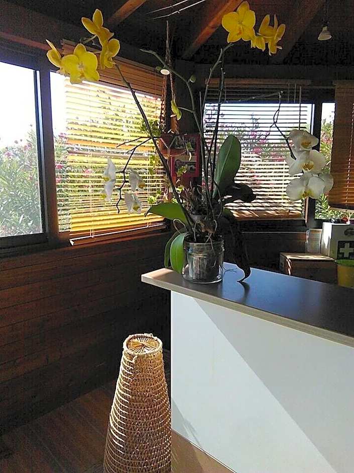 L'Oasi Villaggio Albergo