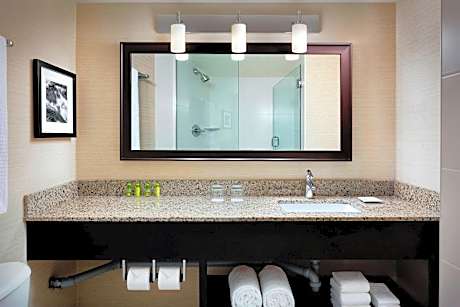 1 Bedroom Suite, 1 Queen, Sofa bed, Water view