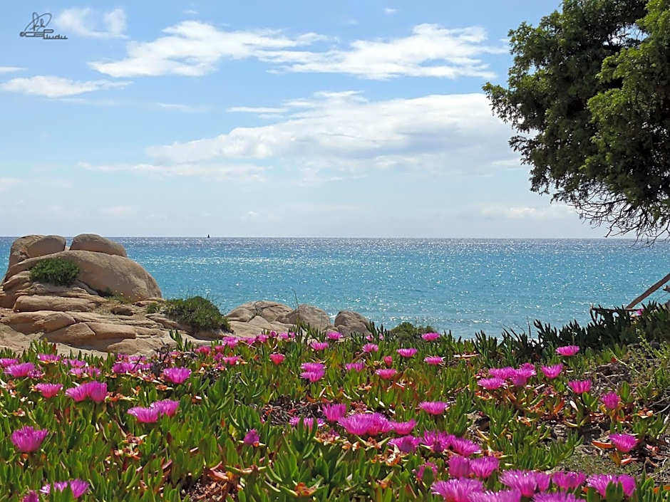 Hotel Fiore Di Maggio