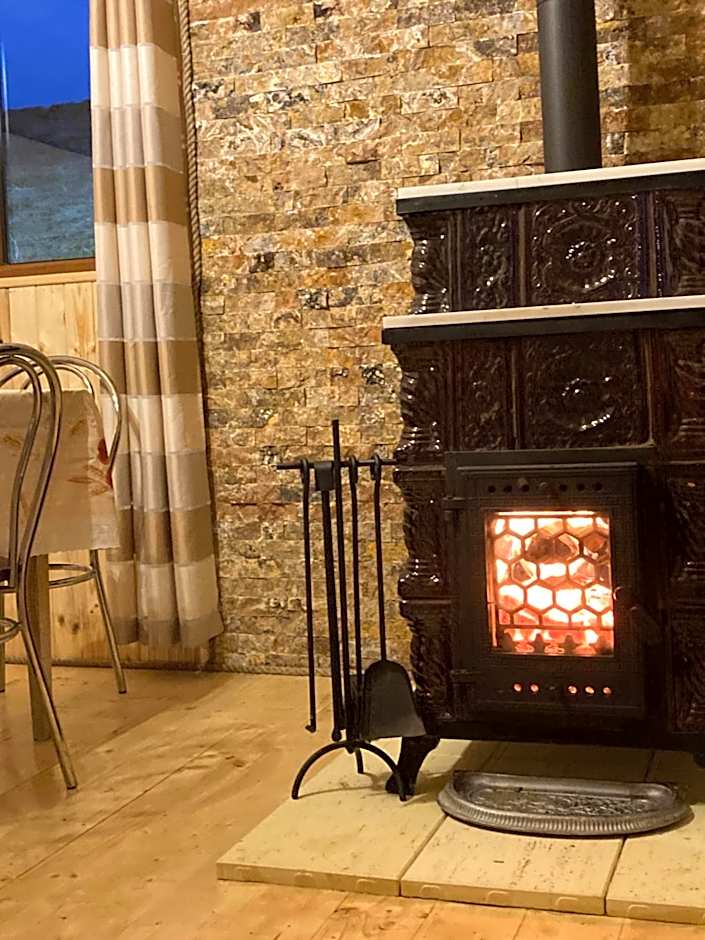 Cabana doi mesteceni