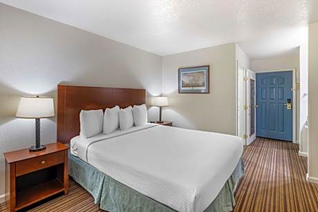 King Room with Roll-In Shower - Disability Access