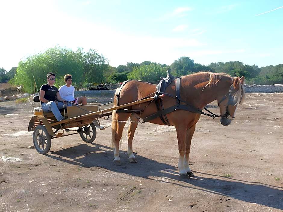 Agriturismo La Lucia