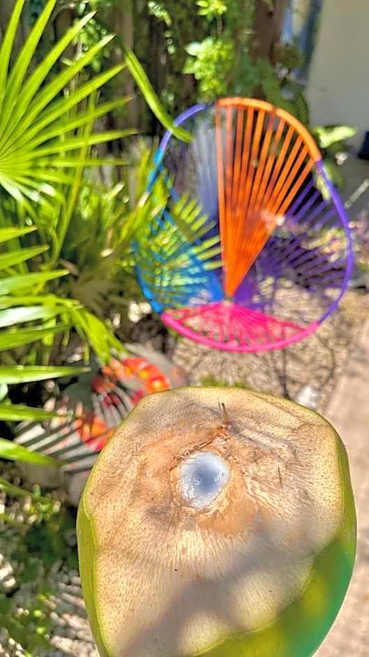 Hotel Jaiba Mahahual - Adults Only