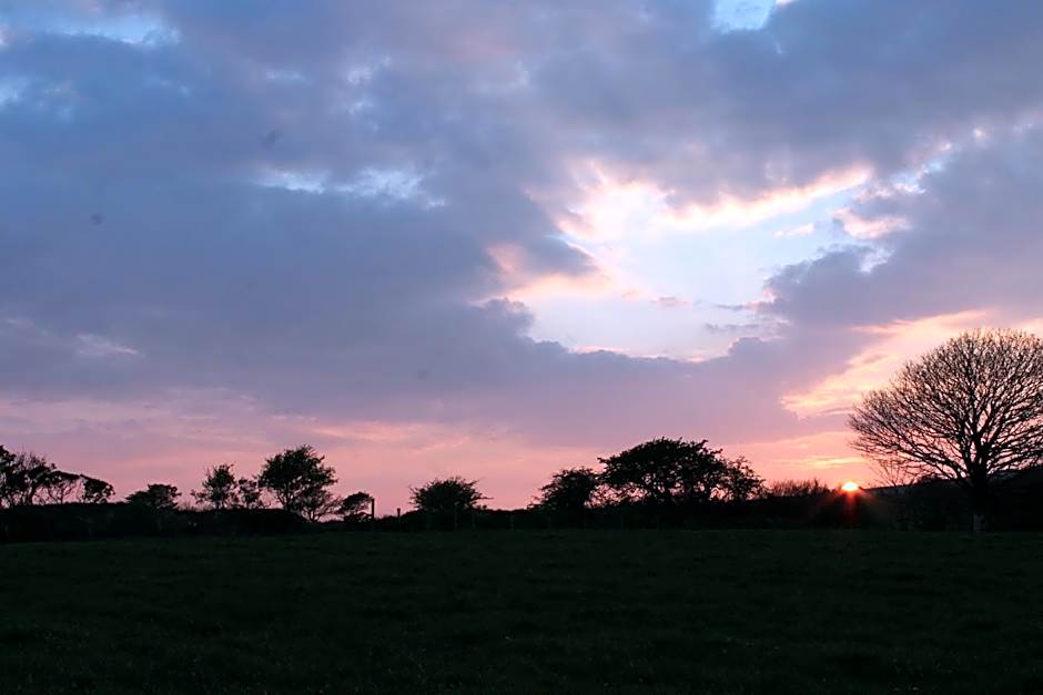 Brynhaul Bed and Breakfast