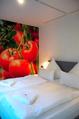 Suite with Terrace