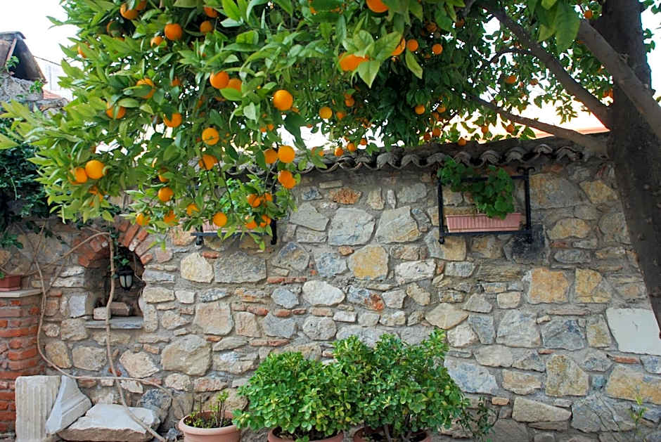 Nazar Hotel