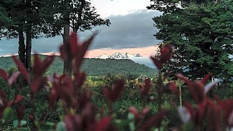 Two Rivers Ohakune - Boutique Bed and Breakfast