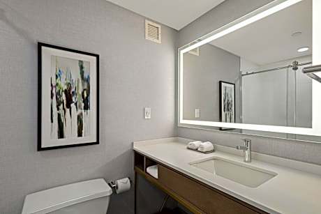 Standard King Room with Walk In Shower