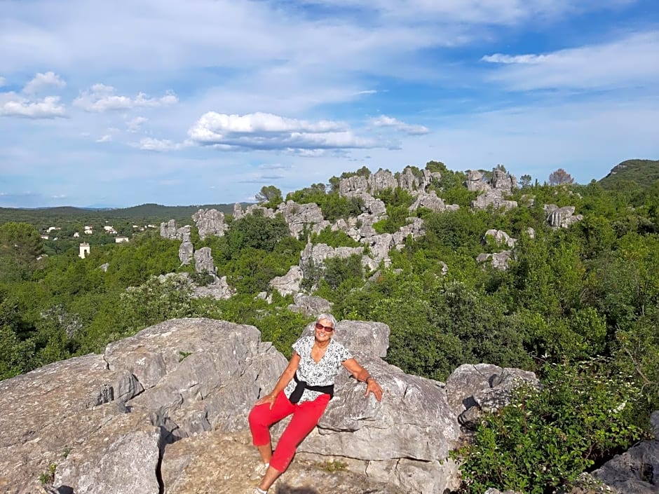 Logis des Magnans -Les terrasses du Coutach -