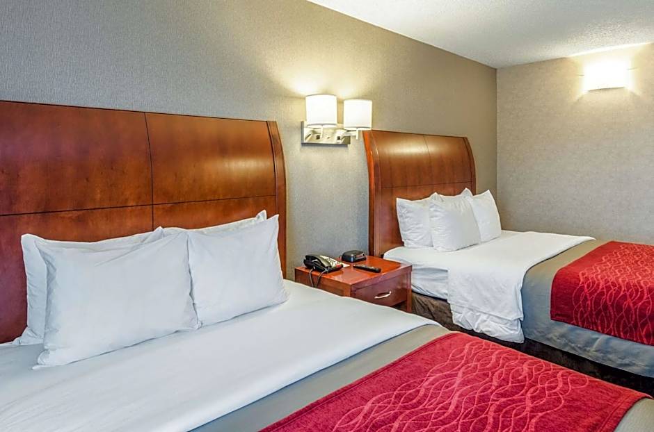 Comfort Inn & Suites West Springfield