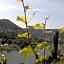 Weinhotel Hubertus Garni