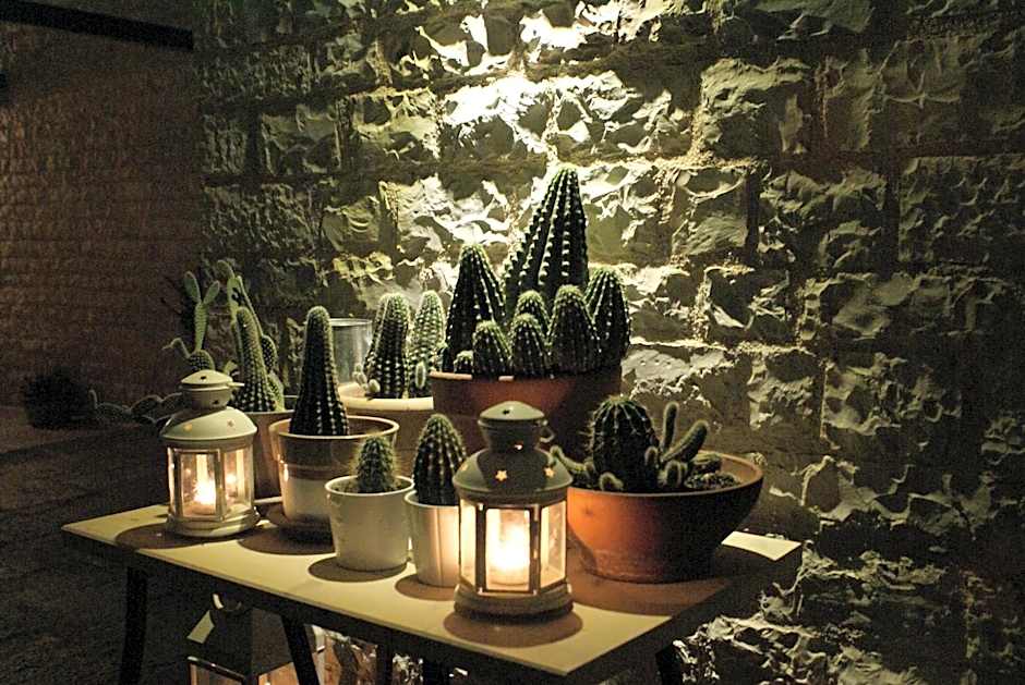 Gamila Rocks Mountain Hotel