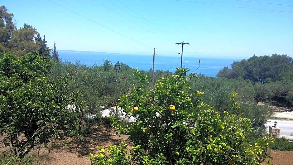 Belvedere Zakynthos Studios
