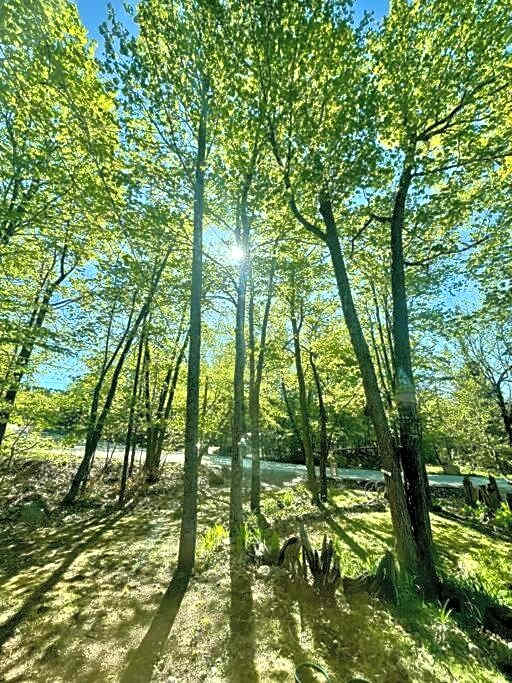 Nature Retreat w/ Sunroom Gazebo