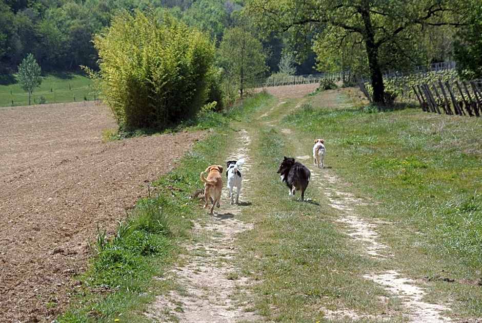 Viella Vacances
