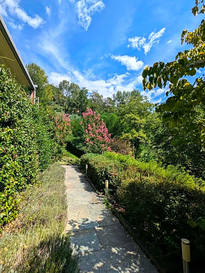 Le jardin de Pierre