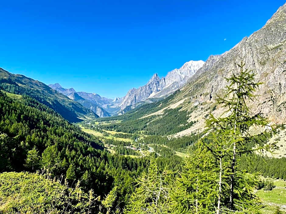 Hotel Vallée Blanche Courmayeur